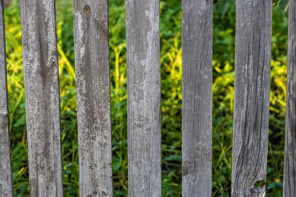 Valla gris madera con tableros verticales y vegetación detrás de ella en el fondo. Fondo y textura de una cerca casera —  Fotos de Stock