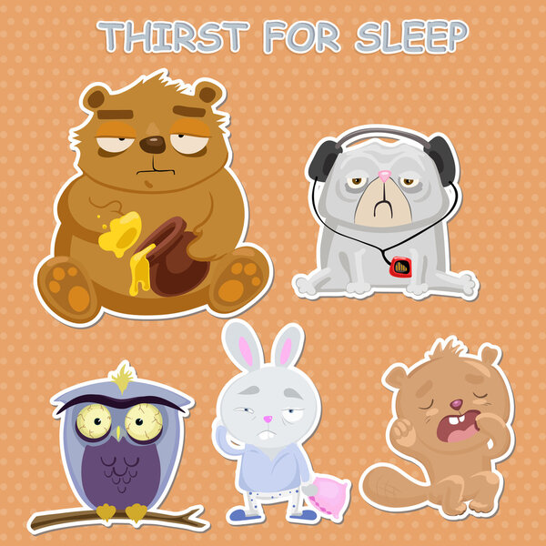 Tired sleepy animals