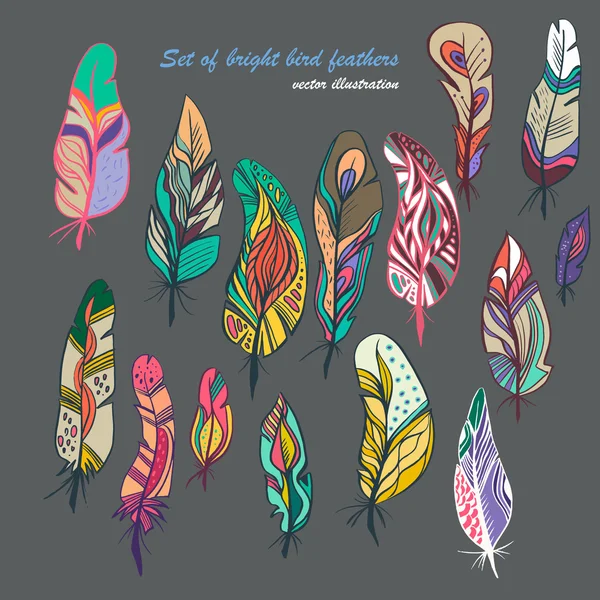 Colored feathers set — Stock Vector