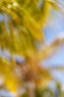 soyut orman arka plan