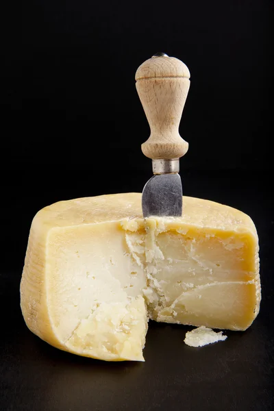 Hela parmesan med handtag ost kniv. på svart. Pecorino — Stockfoto