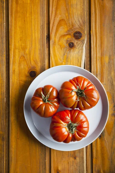 Oxheart tomat — Stockfoto