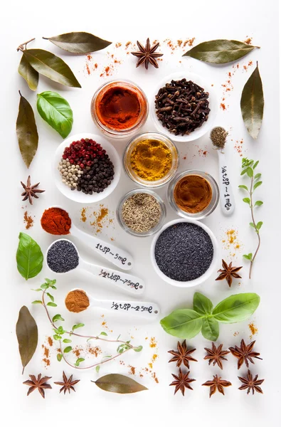 Mängd olika kryddor på en vit bakgrund — Stockfoto