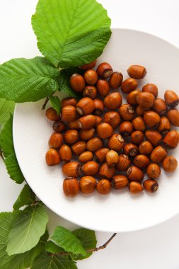 plaka beyaz üzerine fındık