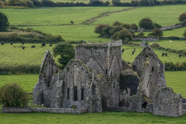 Cashel修道院的爱尔兰岩石修道院的闭锁凸显出这座石砌的哥特式修道院 — 图库照片