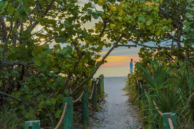 Venedik Florida 'da günbatımında kumsalın renkli ağaç gölgelik girişi. 