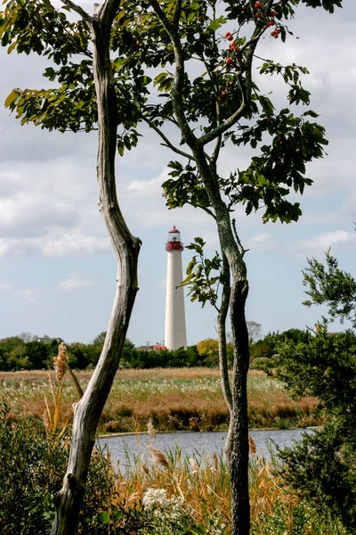 Lighthouse Cape May Nova Jersey Farol Emoldurado Entre Duas Pequenas — Fotografia de Stock