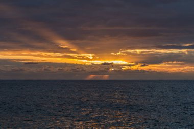 Dramatik ve renkli altın gökyüzü ile okyanusun üzerinde güzel bir gün batımı. Fırtına bulutları ve yalnız bir kuş resme dram katıyor.. 