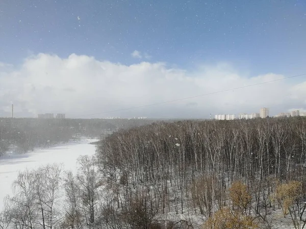 Winter Landscape Forest Frozen River — Foto Stock