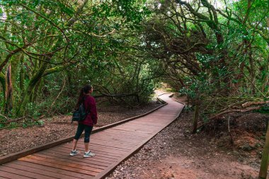 Mor kazaklı, siyah pantolonlu ve siyah sırt çantalı bir kız ormanda yürüyüş yapıyor.