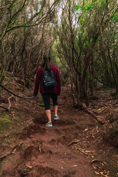 Mor kazaklı, siyah pantolonlu ve siyah sırt çantalı bir kız ormanda yürüyüş yapıyor.
