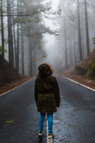 Karlı bir yolun ortasında, ormanın içinde kahverengi ceketli bir kadın.