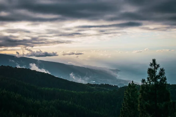 Dağlardaki bir ormanın manzarası Bulutlu bir gün