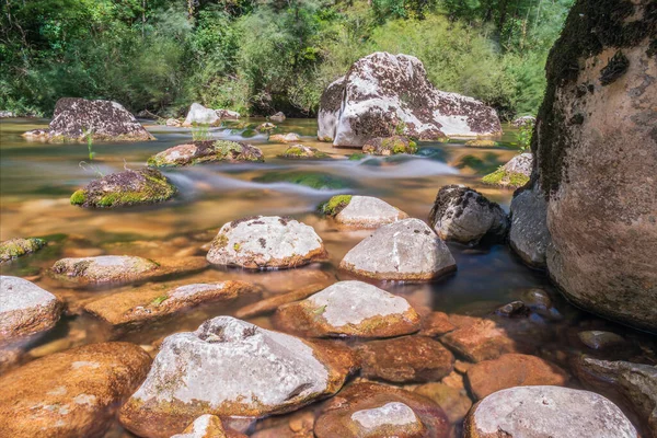Etrafında taşlar ve bitkiler olan bir nehrin manzarası.