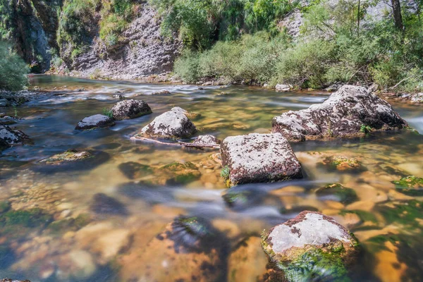 Etrafında taşlar ve bitkiler olan bir nehrin manzarası.