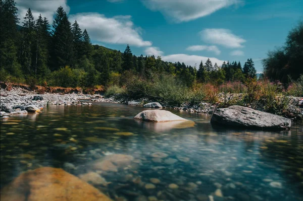 Arkasında taşlar olan berrak bir nehir.