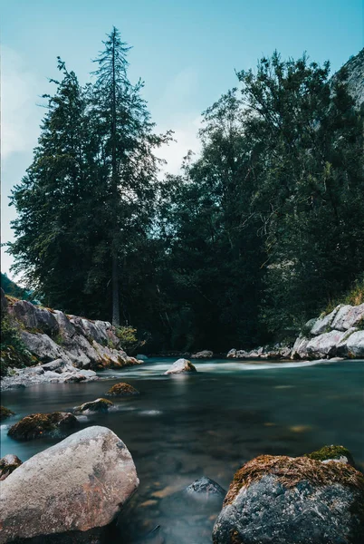 Arka planda taşlarla çevrili kristal berrak nehir.