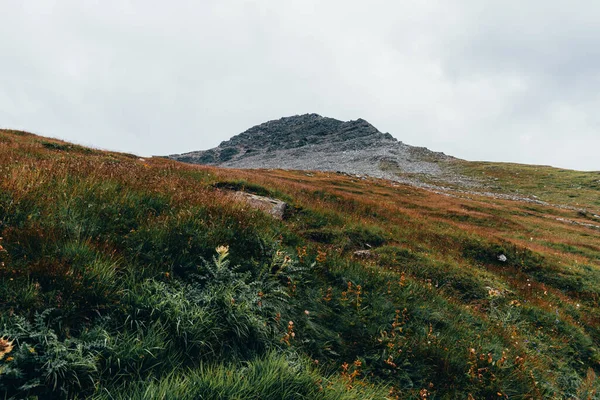 İsviçre 'deki yeşil dağların manzarası