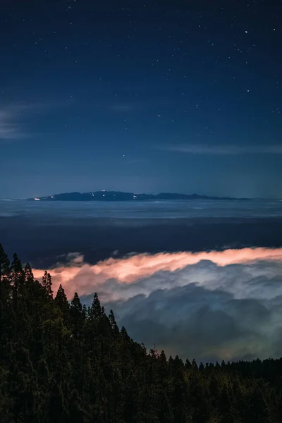 Bulutların ve yıldızların olduğu bir ormanda gece