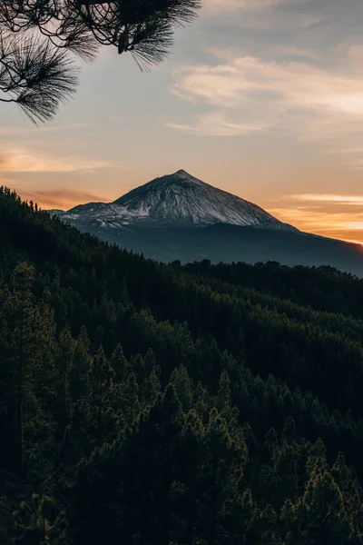 Karlı bir volkan ve orman ile gün batımı