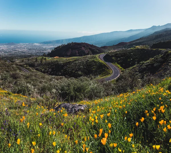 Bulutlu bir adada dağ manzarası