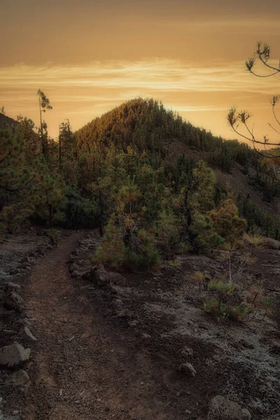 Gün batımında dağlar ve yollar arasındaki milli parktaki manzara