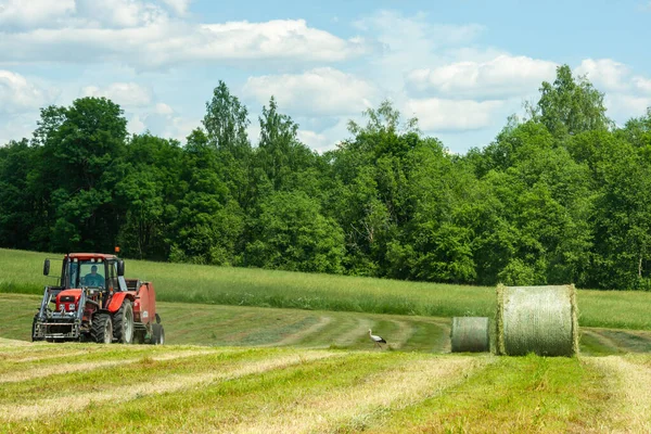 Agricultor Trabajando Tractor Campo Haciendo Grandes Rollos Heno Para Ganado — Foto de Stock