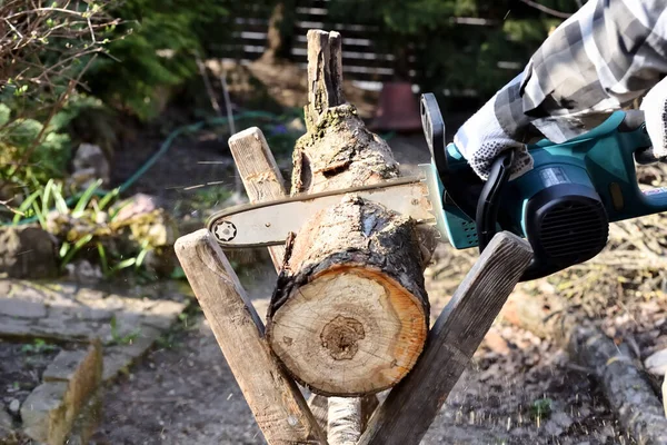Elektrikli testere, yakacak odun bulmak için bahçe ağacının gövdesini keserken kullanılıyor. Çevre dostu elektrikli bir aletle bahçede mevsimlik işler.