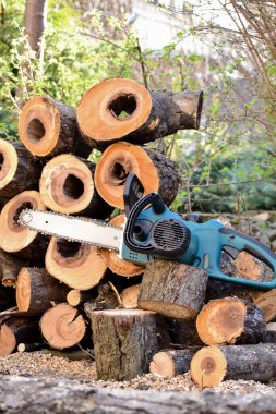 Elektrikli testere ve bahçede mevsimlik çalışmadan sonra kesilmiş ağaç gövdeleri.