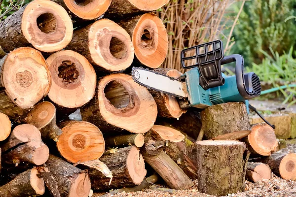 Freshly Cut Firewood Electric Chain Saw Seasonal Work Garden Eco — Stock Photo, Image