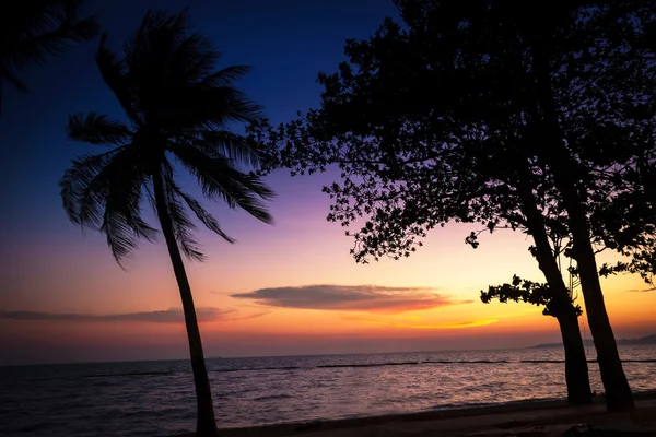 Günbatımı ağaçlar siluet ile denize