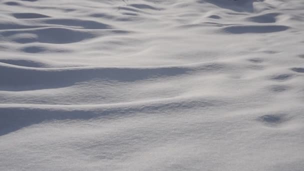 Surface de neige abstraite — Video