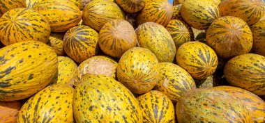 Pazarda taze kavunlar.