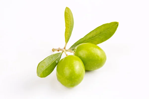白色背景上的绿色新鲜橄榄 — 图库照片