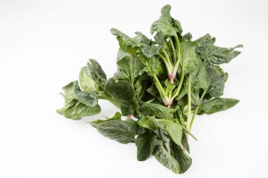 Beyaz arka planda yeşil taze organik ıspanak.