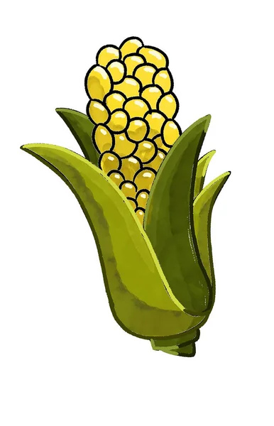 Векторна Ілюстрація Жовтого Кукурудзи Листям — стокове фото