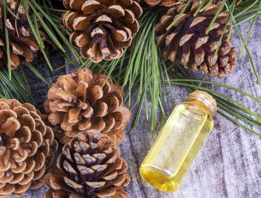 Kış aroması için ahşap kokular. Çam kozalakları ve taze yeşil ağaç dalları, temel yağ şişeleri, üst manzara.