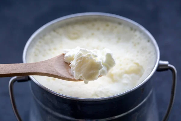 Homemade Vanilla Pudding Fresh Organic Milk — Fotografia de Stock