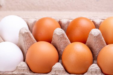 Yumurta kabında tavuk kahverengi taze çiğ yumurta. Yemek yapmak için gerekli malzemeler. Sağlıklı beslenme bir kavramdır. Yatay yönelim, seçici odak.