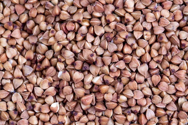 Roasted Buckwheat Seeds Background — Stock Photo, Image