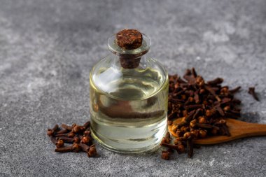 Close up glass bottle of essential clove oil and cloves in wooden spoon on rustic background. Herbs and spice oil concept 