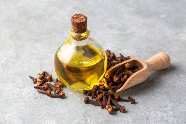 Close up glass bottle of essential clove oil and cloves in wooden spoon on rustic background. Herbs and spice oil concept 