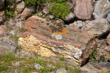 Yunanistan 'ın Lesvos adasındaki UNESCO Geopark 
