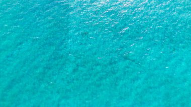 Salda Gölü 'nün huzur verici güzelliği - Türkiye' nin kristal berrak turkuaz suları ve büyüleyici çevresindeki manzaraları büyüleyici bir manzara.. 