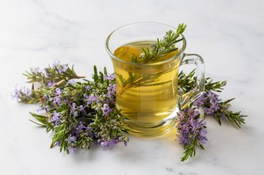 Taze biberiyeli bir fincan sağlıklı biberiye çayı, sıcak bitkisel içecek konsepti.