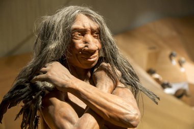 Düsseldorf, Almanya, 16 Şubat 2024, Neanderthal Müzesi