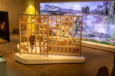 Düsseldorf, Almanya, 16 Şubat 2024, Neanderthal Müzesi