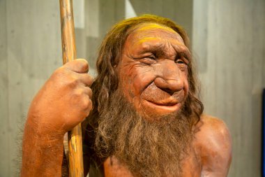 Düsseldorf, Almanya, 16 Şubat 2024, Neanderthal Müzesi