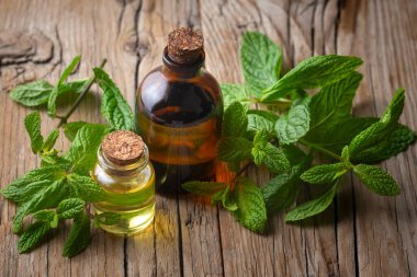 Bir şişe nane yağı ve nane yeşili yapraklar.