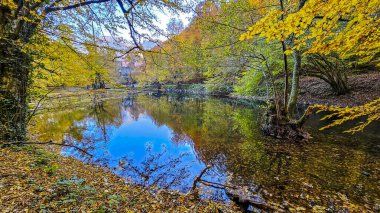 Yedigoller Park Bolu, Türkiye 'de sonbahar manzarası (yedi göl)
